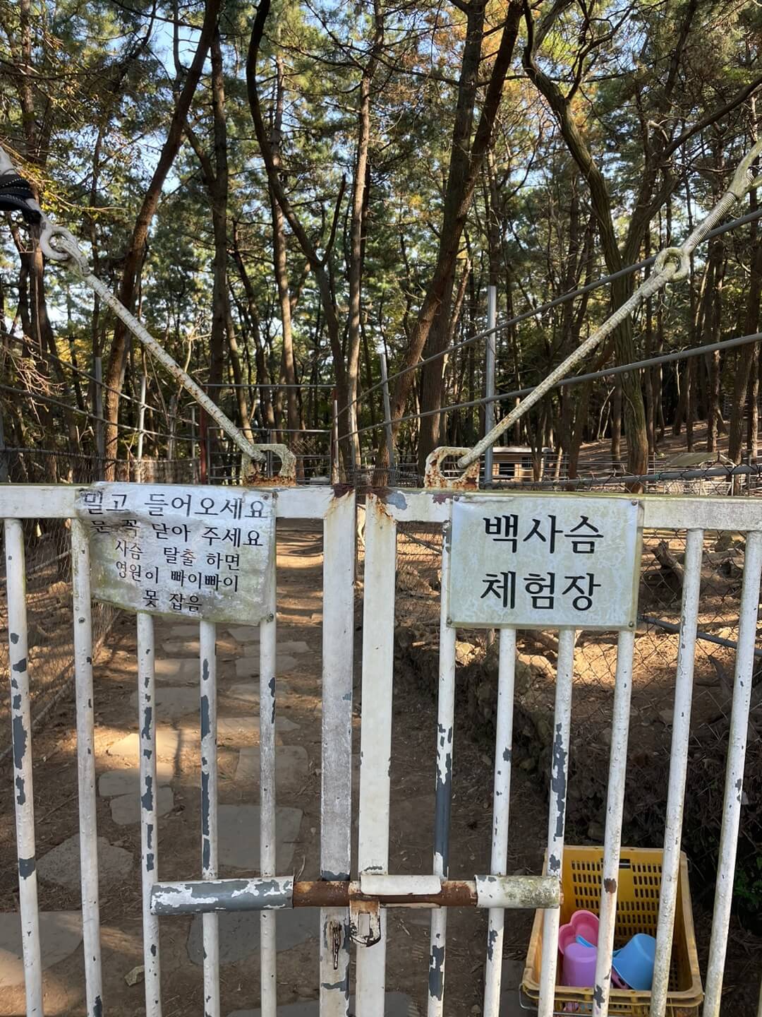 남해 상상양떼목장
