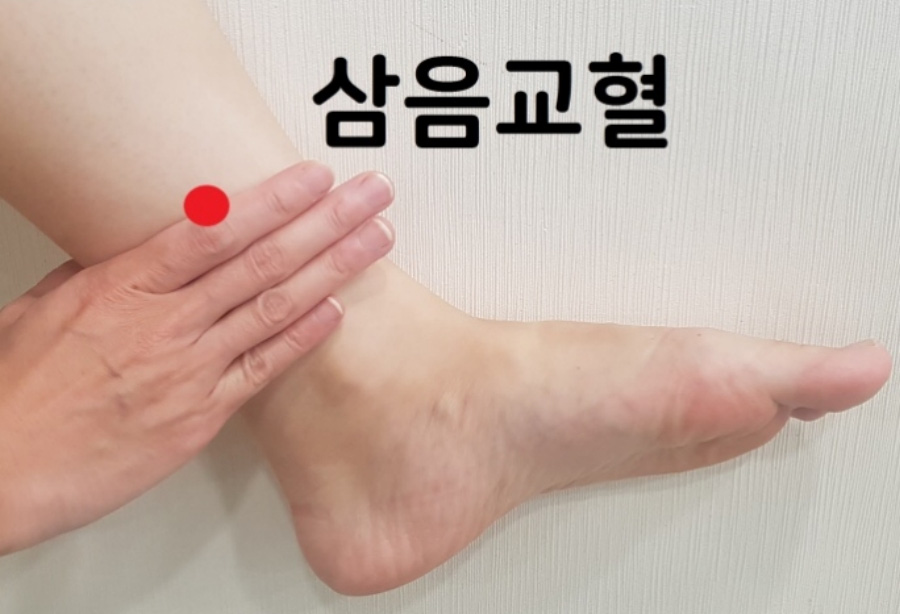 인체의 365혈 중에 다리의 안쪽에 위치를 한 삼음교혈의 정확한 위치를 표시를 한 사진