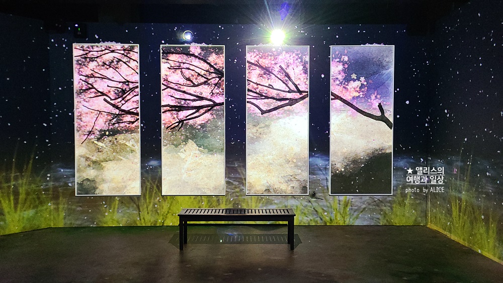 플라워바이네이키드 홍대 놀거리 입장료 23% 할인예매방법, 즐기는 꿀팁 네가지