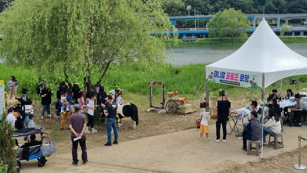 순천만국가정원 미니말 체험