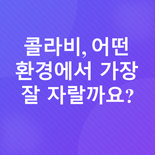 콜라비 재배_1