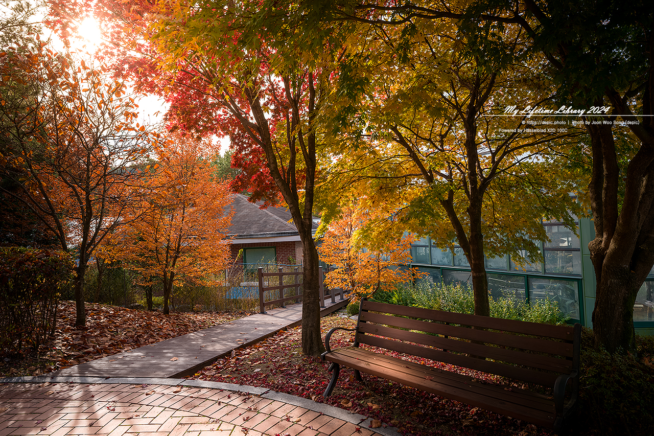 #가을 #단풍 #청주 #미동산 #수목원