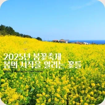 2025년 축제 일정 남한산성 곡성 연천 담양 서울 포항 대구 남양주_12