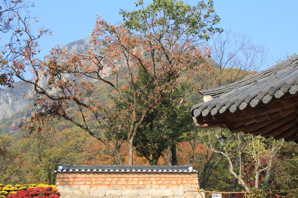 100대 명산 등산하기 두번째 금강산에 비견될 정도로 아름다운 산세 정읍 내장산과 암릉과 절벽의 기세가 돋보이는 산 장성 백암산 