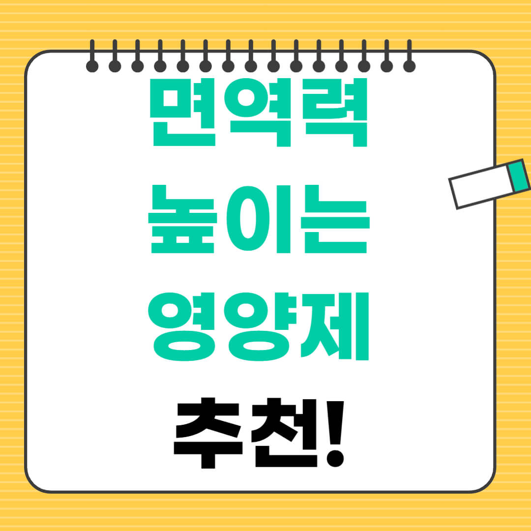 면역력 높이는 영양제 추천