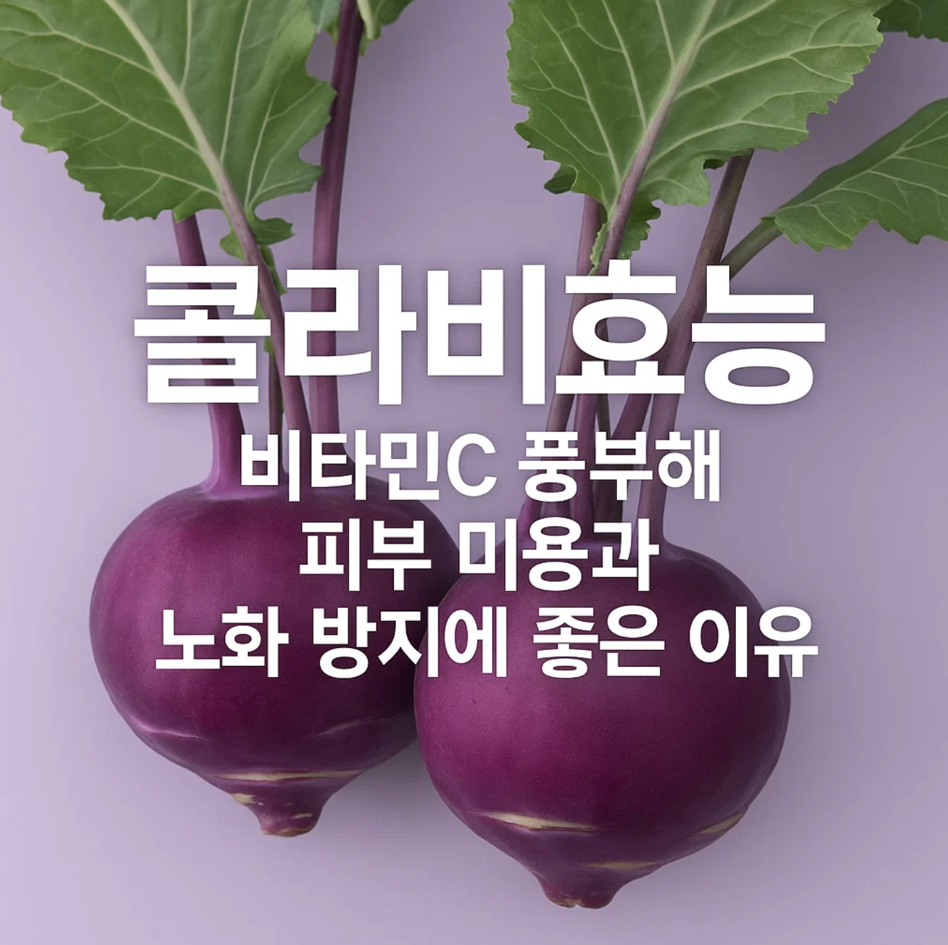 콜라비효능 비타민C 풍부해 피부 미용과 노화 방지에 좋은 이유