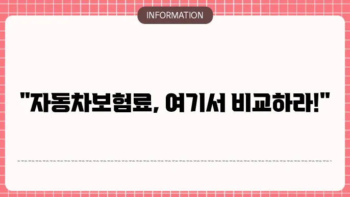 자동차보험 비교 사이트 추천 실속 있는 사이트 TOP 3