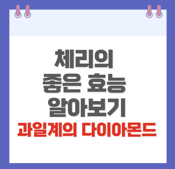 체리의효능몸에좋은이유