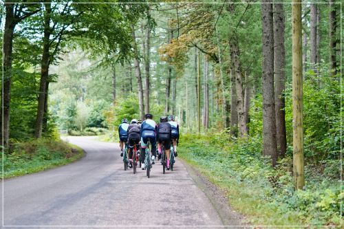 혈관 노폐물 빼는 방법