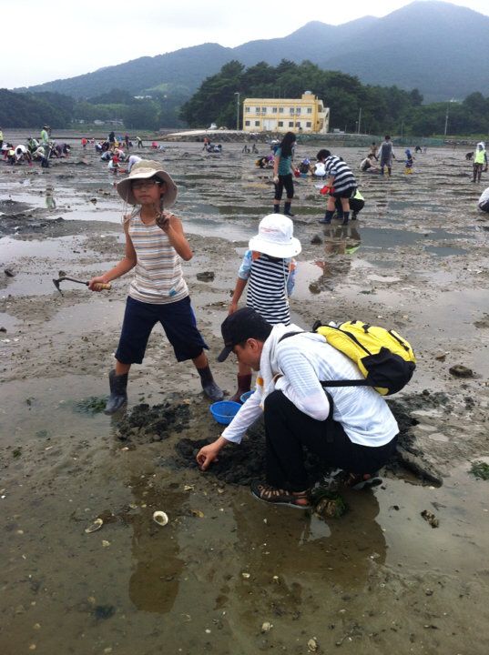갯벌체험 연령대별 현실 가이드