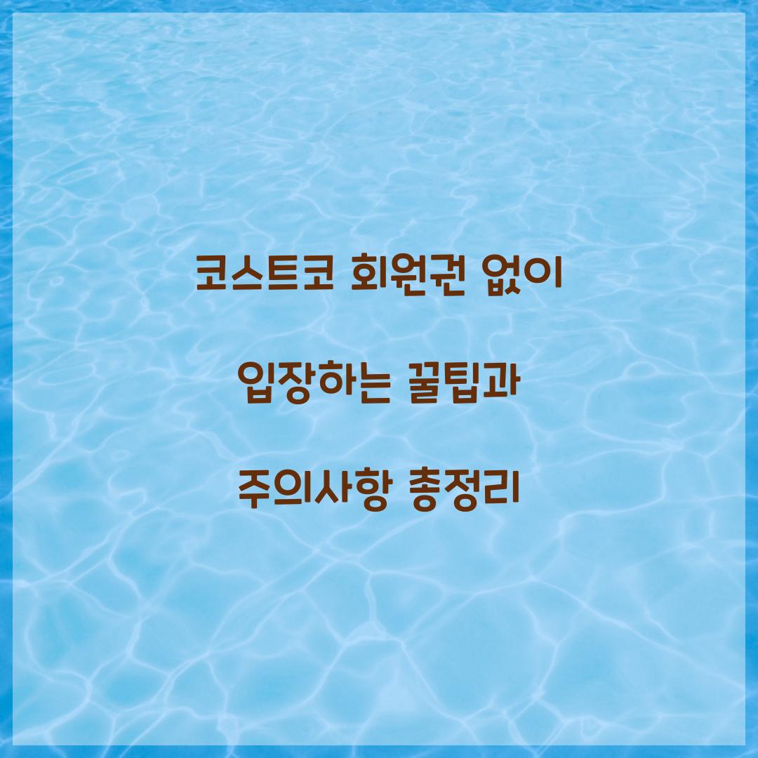 코스트코 회원권 없이 입장