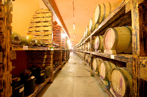 파주 산머루마을