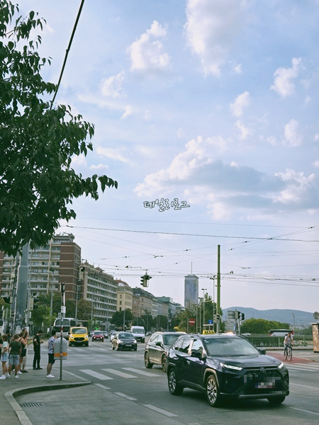 비엔나_시내_모습