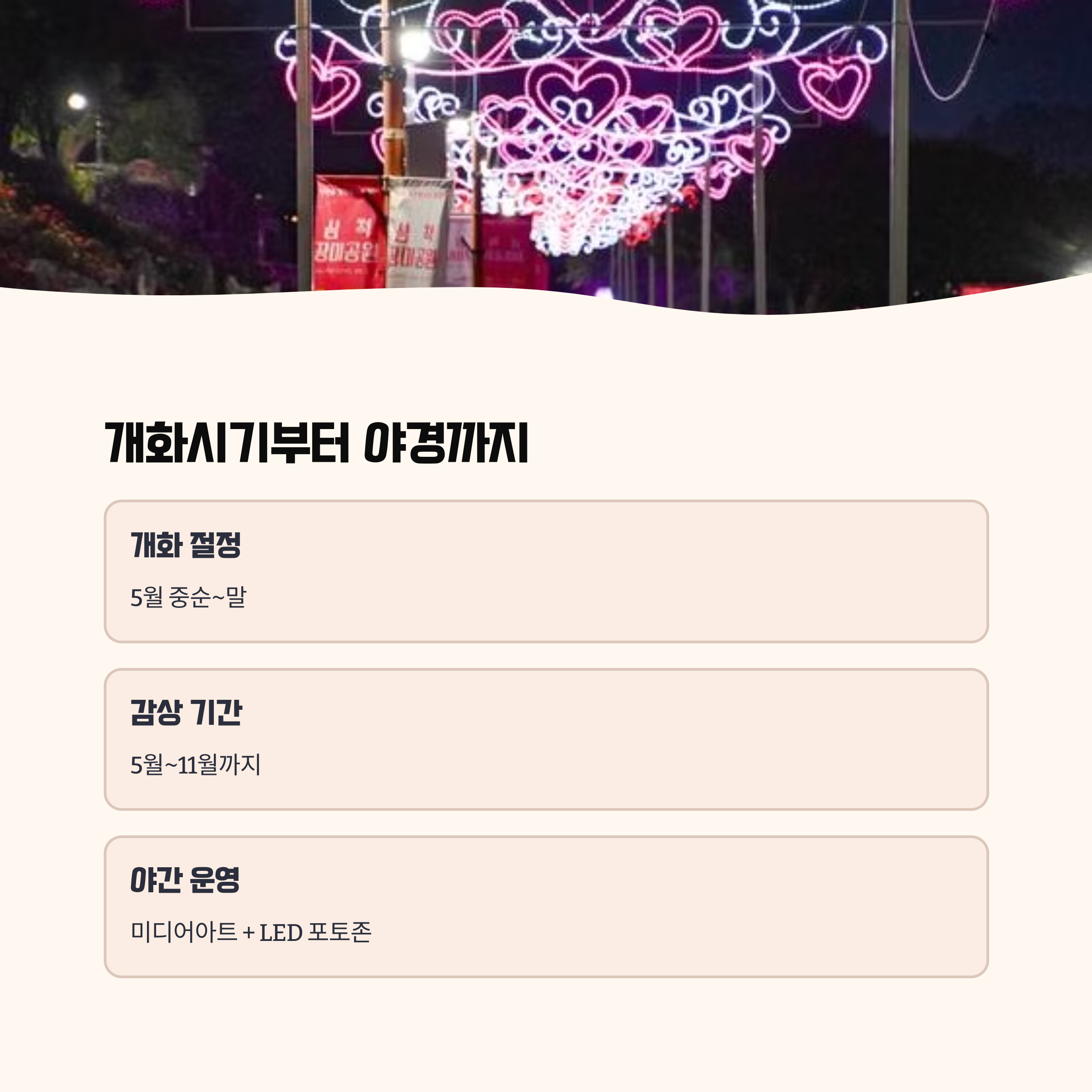 개화시기부터 야경까지 꿀팁 모음