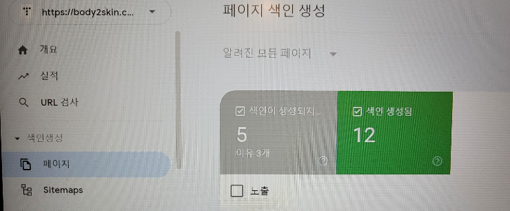 구글 서치콘솔에서 색인 생성