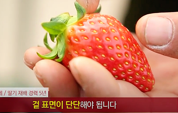 딸기 고르는법2. 과육이 단단한 것!_MBN유튜브