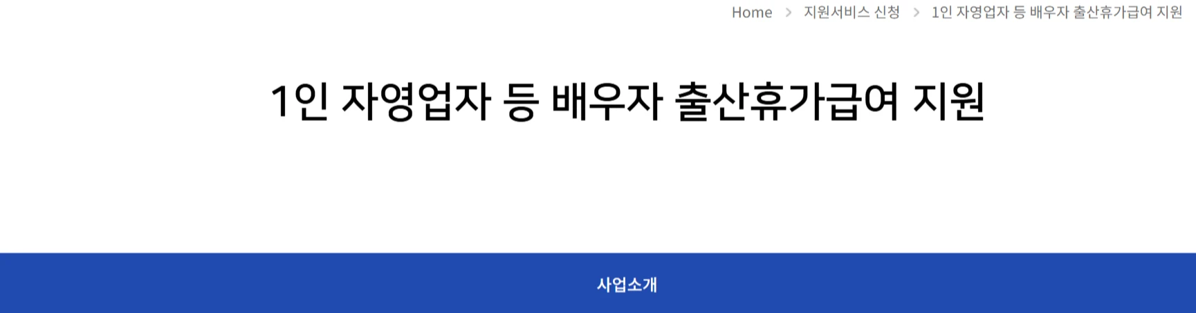 자영업자 정부 지원금 안내 2025
