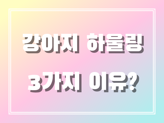 강아지 하울링 3가지 이유