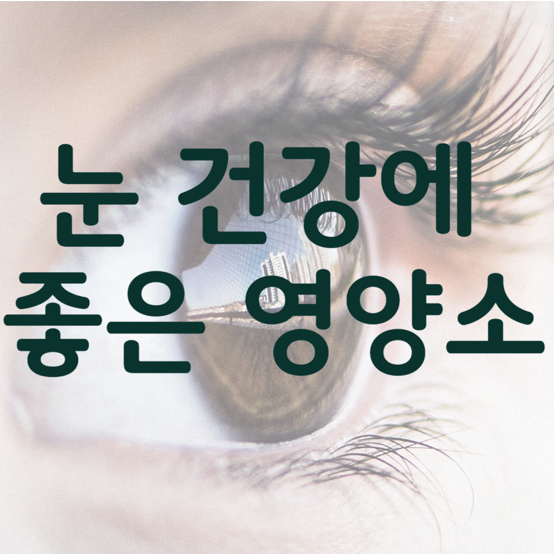 눈 건강에 좋은 영양소
