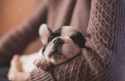 연령대별 접종 주기 관련 사진