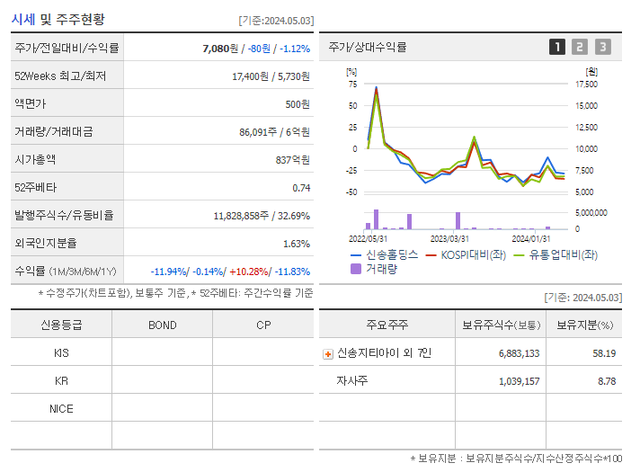 신송홀딩스_기업개요