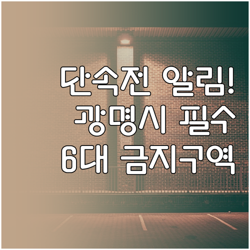 광명시 주정차단속 사전 알림 서비스 ..