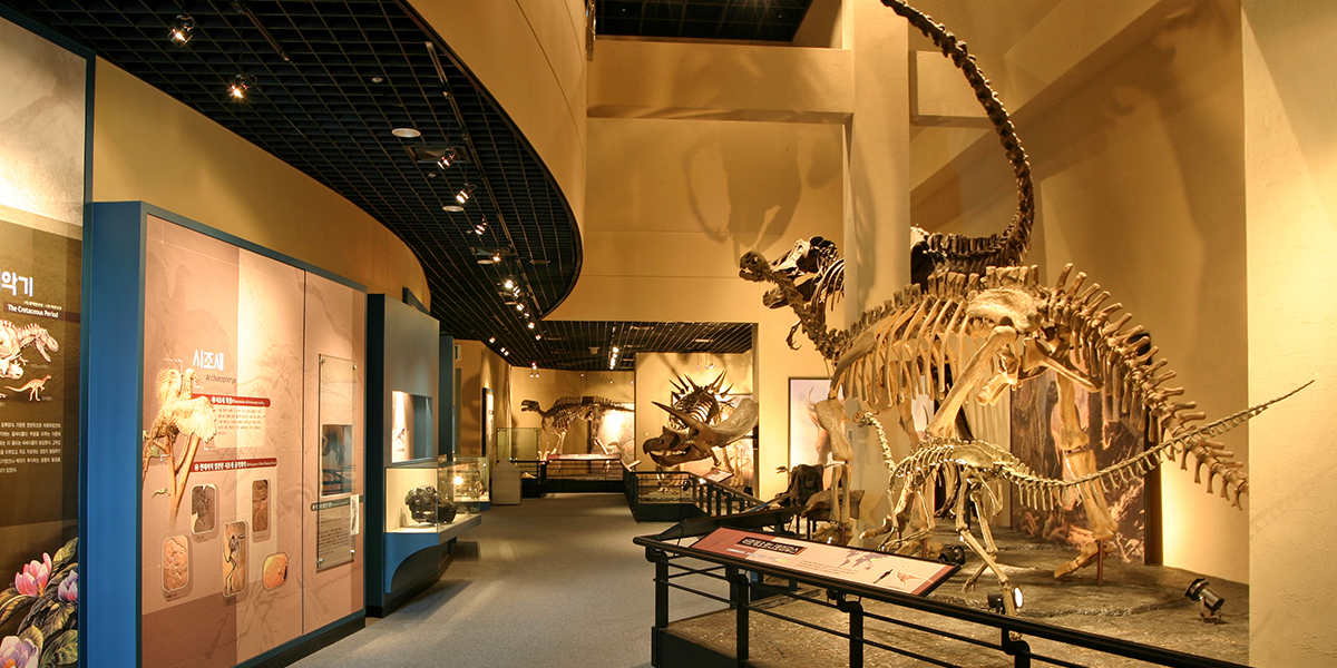 고성자연사박물관