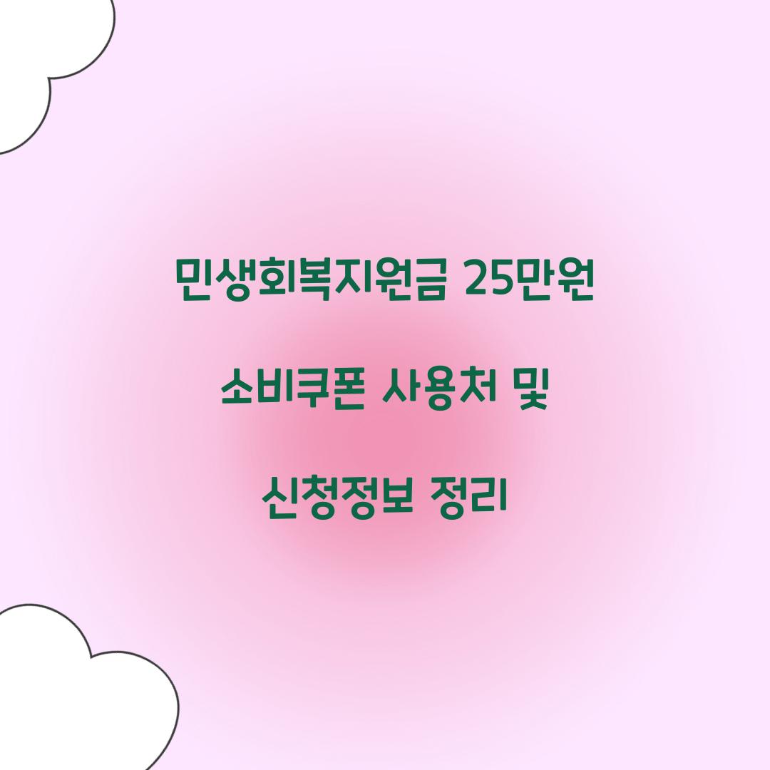 민생회복지원금 25만원 소비쿠폰 사용처