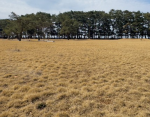 경기도 차박하기좋은곳 TOP 10곳