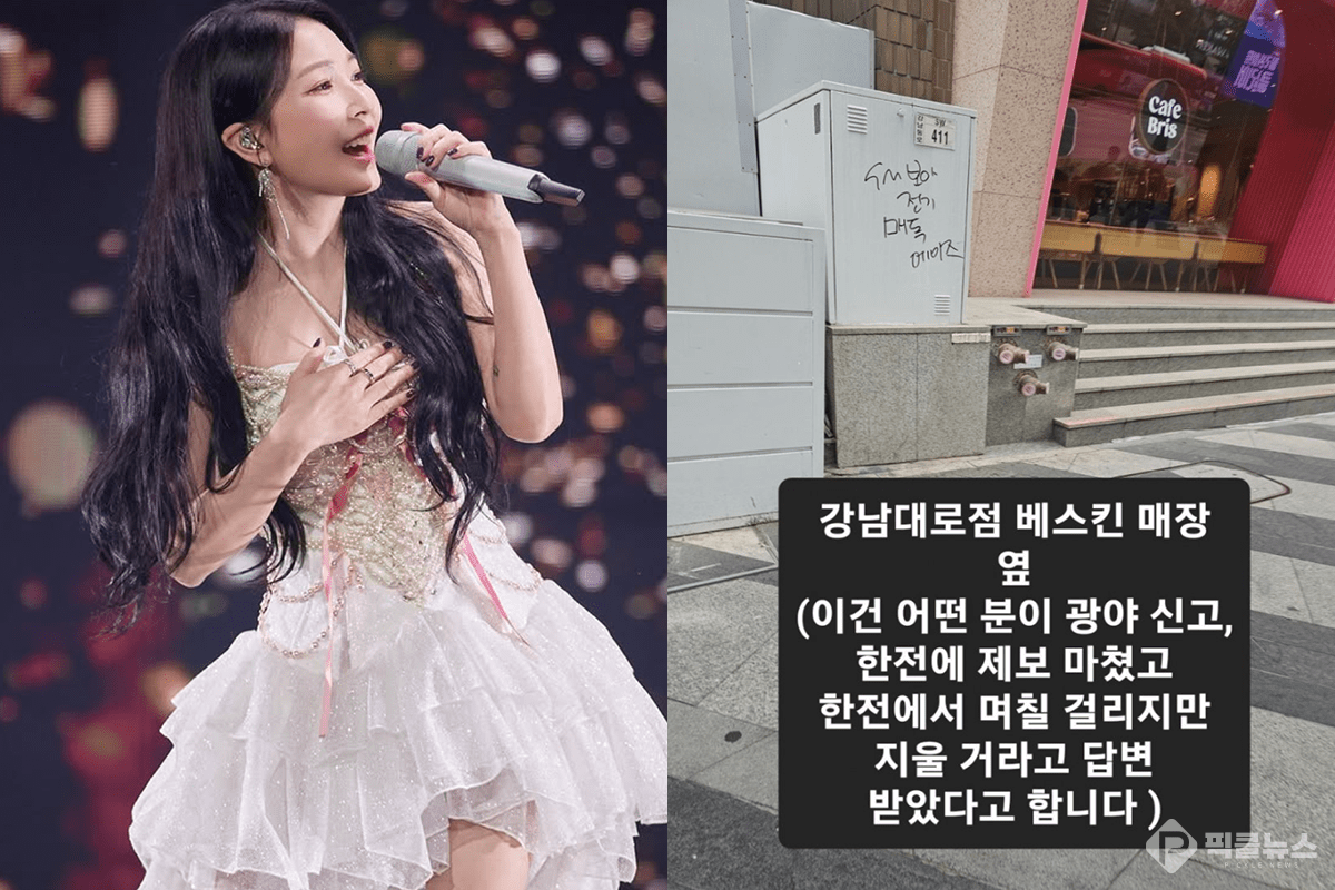 보아 낙서 모욕 사건, SM의 강경 대응과 그 의미