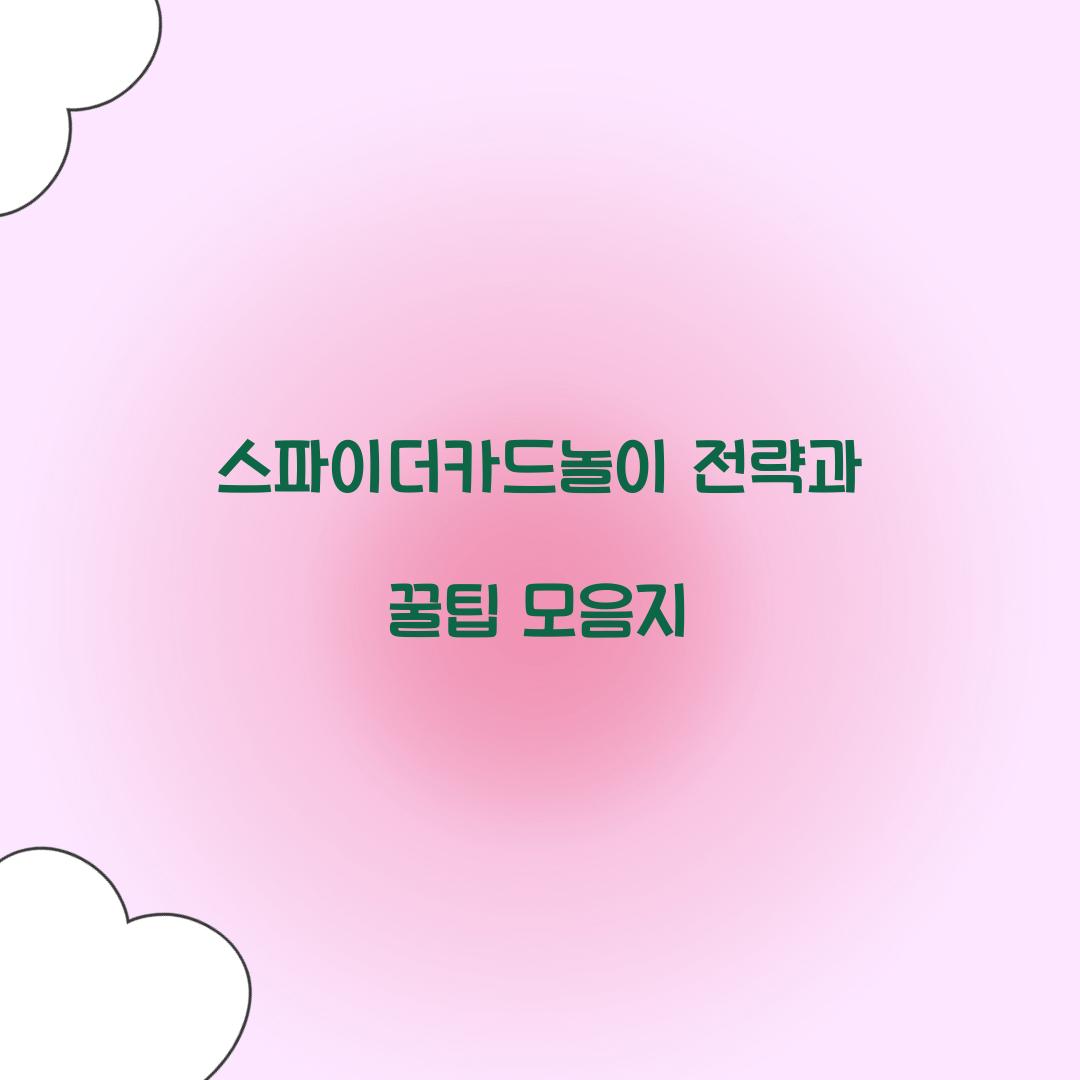 스파이더카드놀이