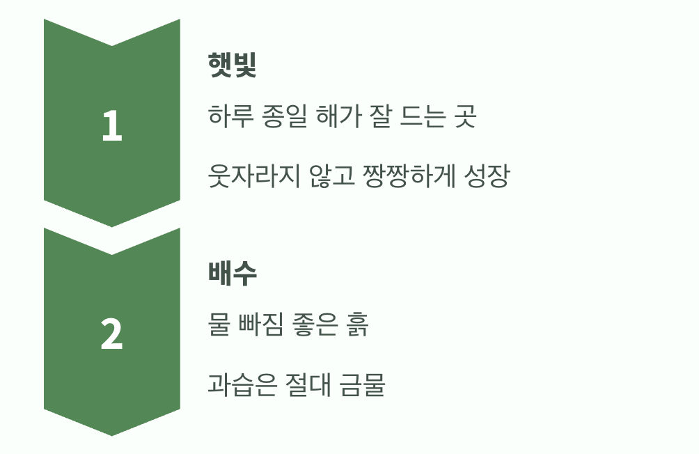 이 식물이 사랑하는 단 두 가지