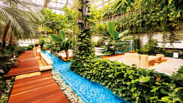 미리내 힐빙 클럽