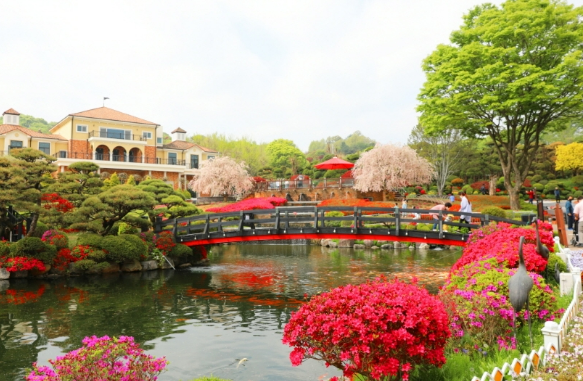 베어트리파크 철쭉제