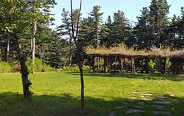 가평 잣향기푸른숲 예약