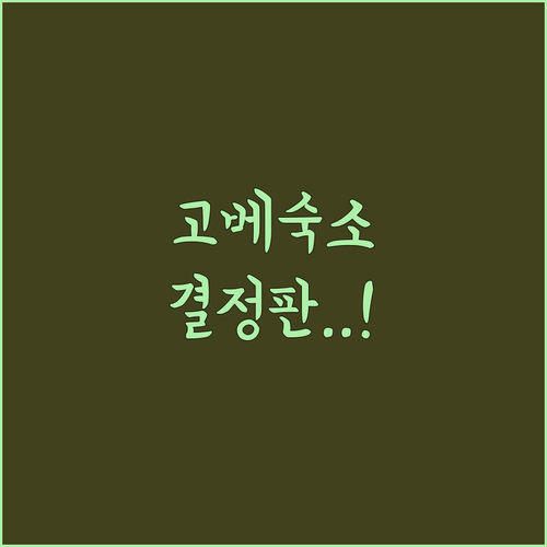 고베 여행 숙소 결정판 실제 투숙객 ..