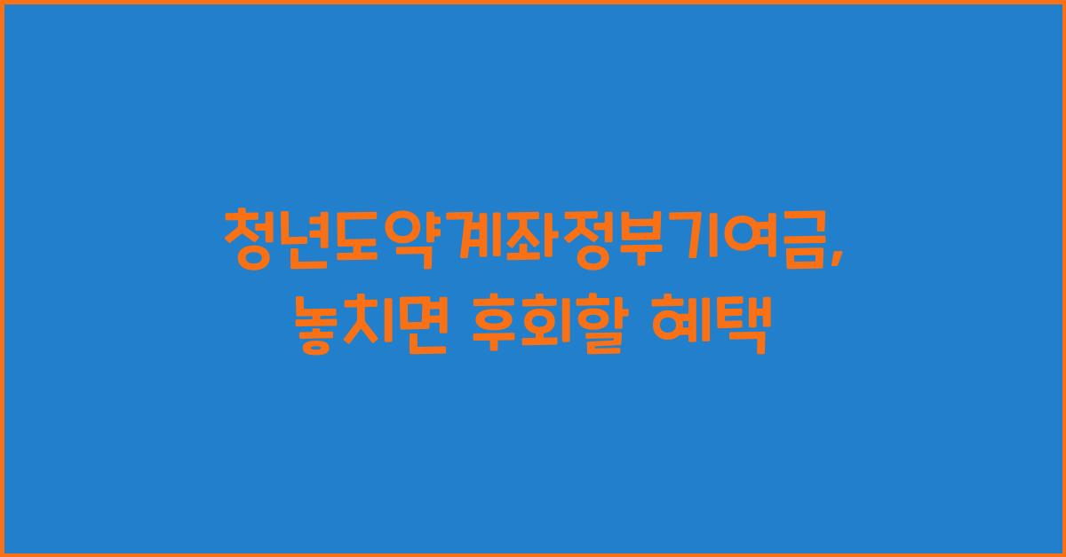 청년도약계좌정부기여금