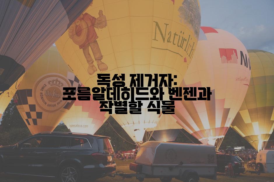 독성 제거자: 포름알데히드와 벤젠과 작별할 식물