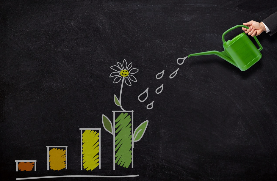 예금 및 투자수익