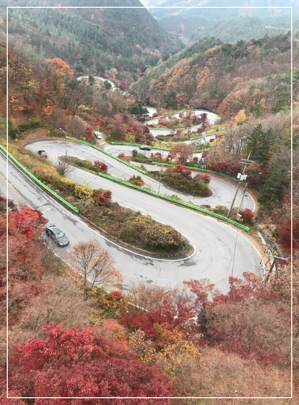보은 가볼만한곳 베스트10 말티재 전망대