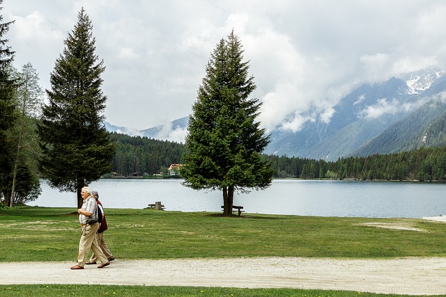 국민연금 임의가입