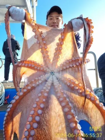 문어 삶는법 문어 요리 레시피_18