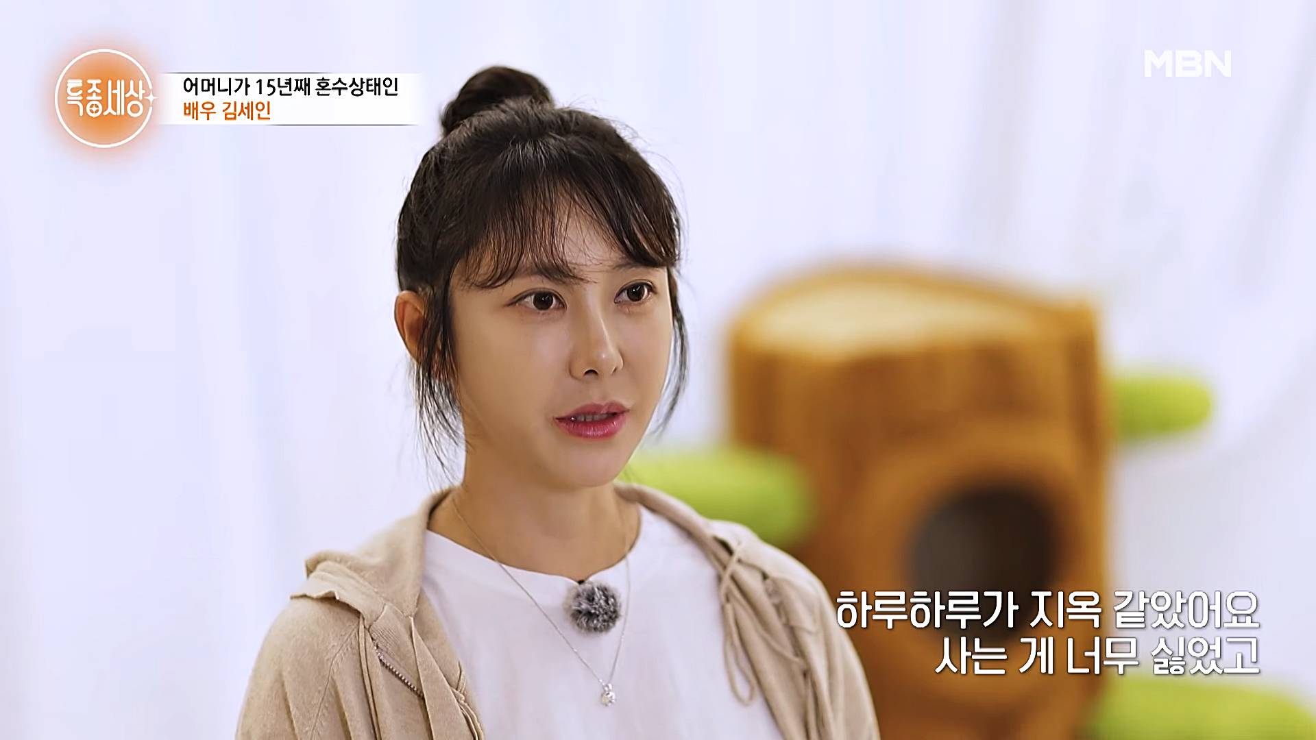 김세인