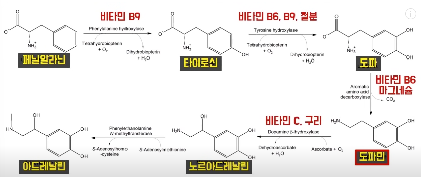 비타민 B군과 미네랄 결핍으로 하지불안증후군이 생기는 이유