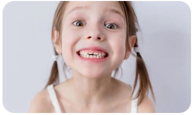 영구치-나는-순서