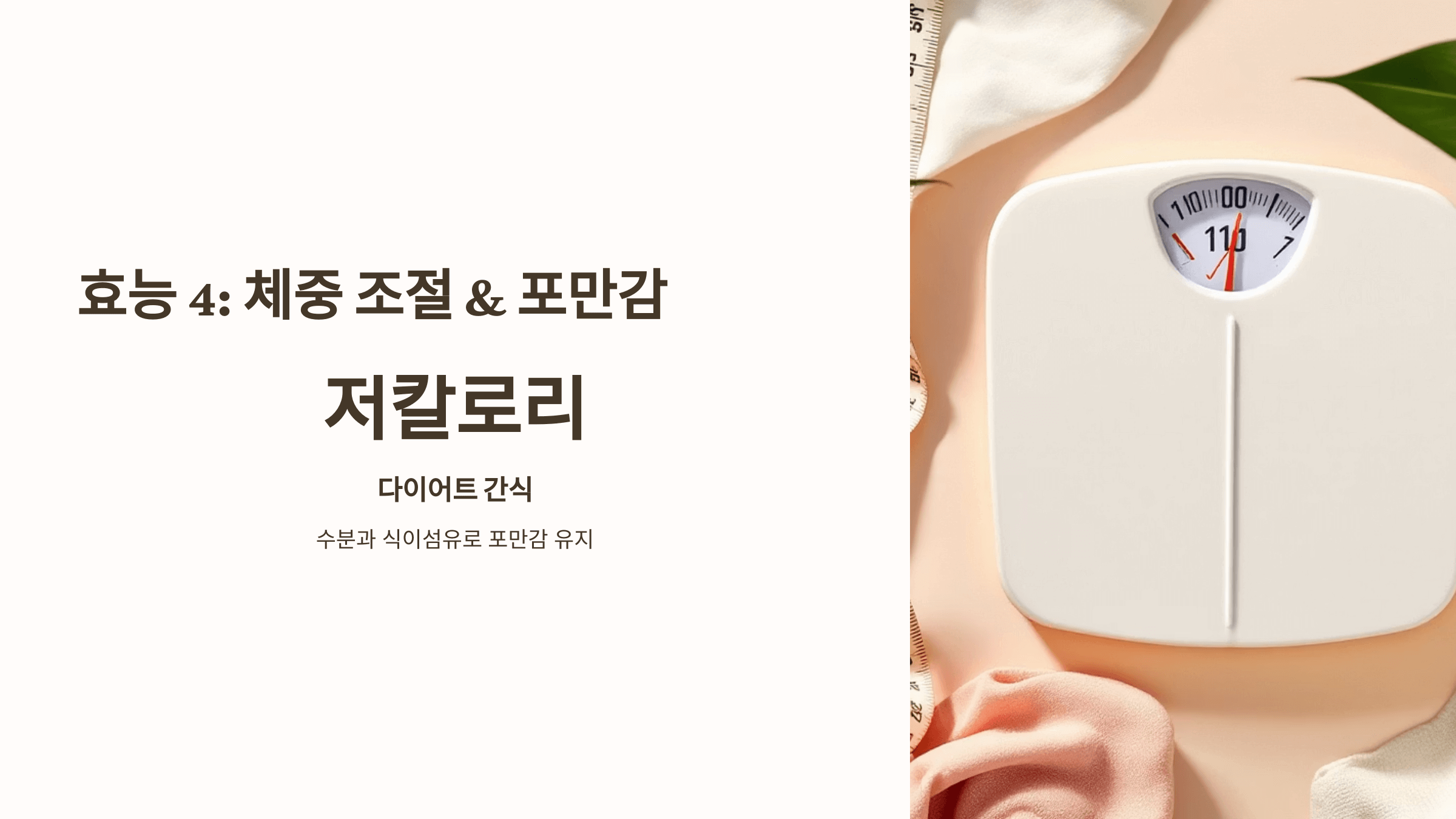 용과 사진입니다.