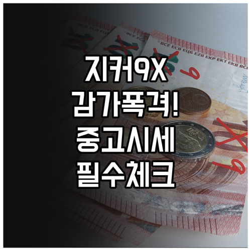 지커 9X 중고 시세 및 감가율 분석..