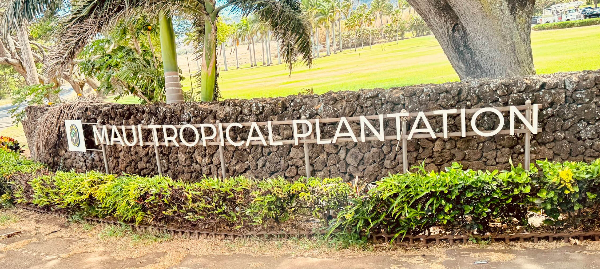 마우이-트로피컬-플랜테이션-입구-사진