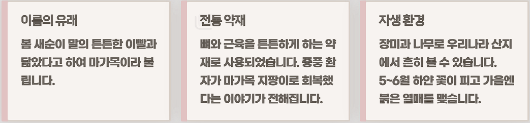 마가목 효능 부작용 열매 먹는법
