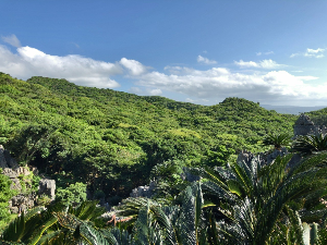 오키나와 여행 추천 다이세키린잔